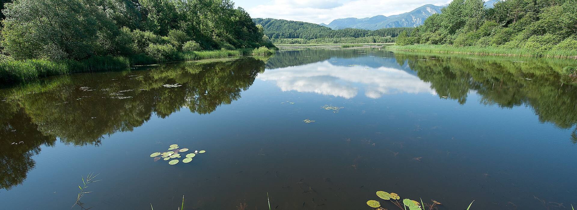 Kärnten Naturerleben