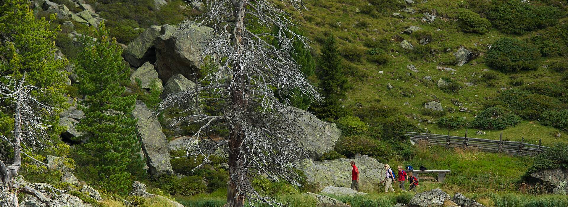 Nationalpark Nockberge