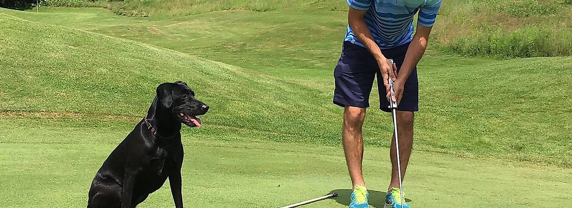 Golfen mit Hund