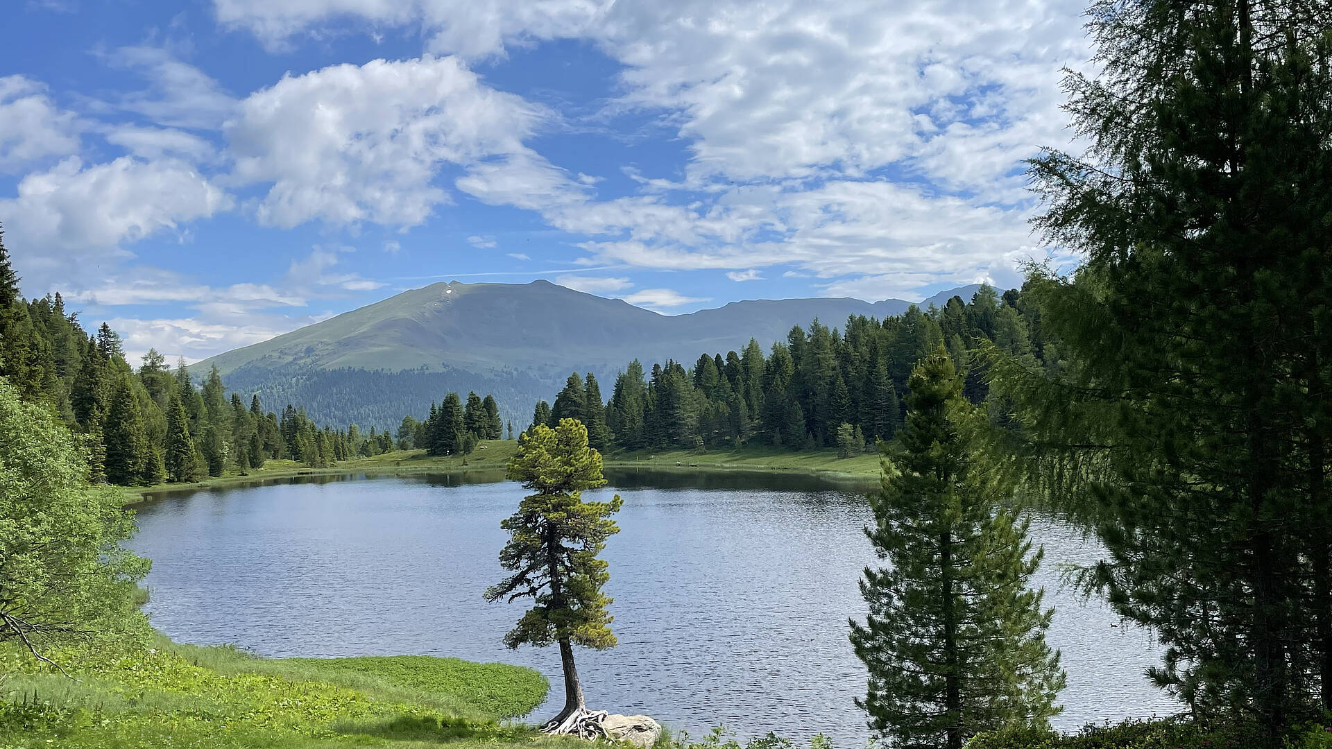 Blick auf den Schwarzsee bei der 3 Seen Wanderung auf der Turracher Hoehe