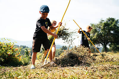 Kinder machen Heu beim Zechnerhof 