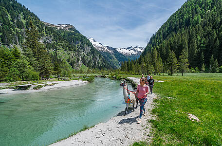 Zen unter Gipfeln &ndash; Entschleunigung mit Lamas und Yoga im Seebachtal