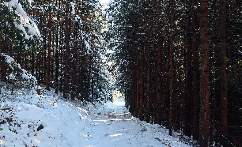 Slow Trails am Millstätter See