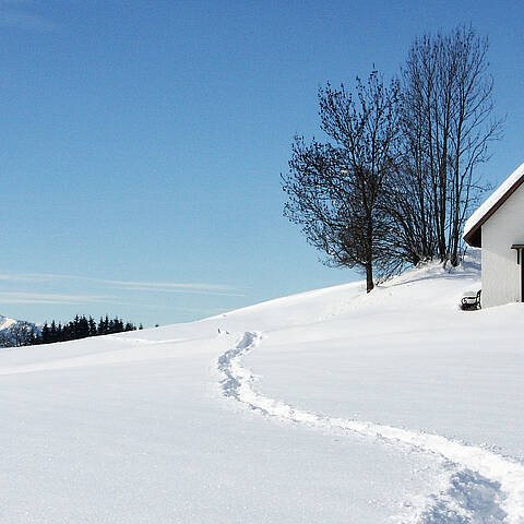 Noetsch im Gailtal