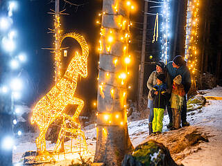 Adventmarkt Mallnitz