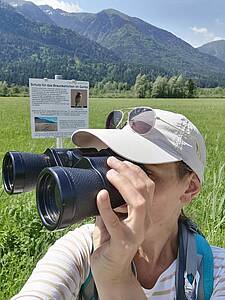 Auf den Spuren der Feldlerche