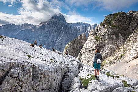 Triglav Nationalpark: Ein Tag voller Natursch&ouml;nheiten&amp;#9654; Aktiv 