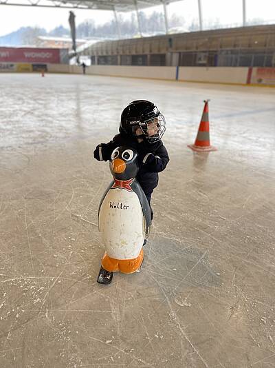 Eislaufen in der Halle mit Pinguin