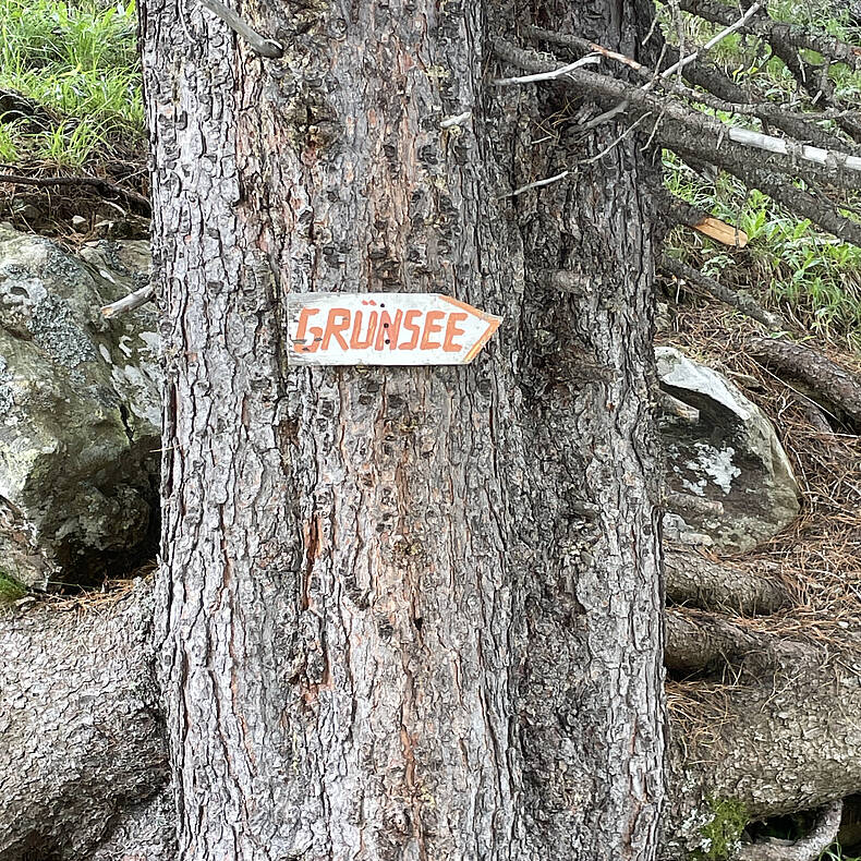 Baum mit Schild zum Gruensee der 3 Seen Wanderung