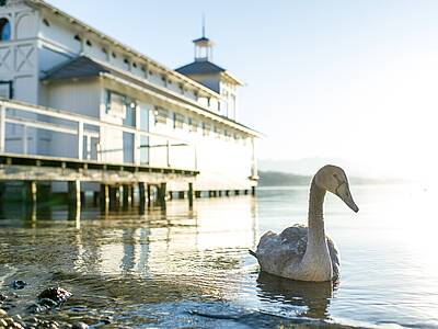 WERZERS BadehausP&ouml;rtschach am W&ouml;rthersee